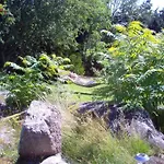 4 Person In Allinge-Sandvig
