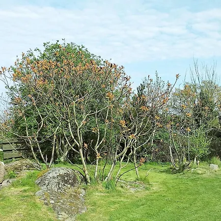 4 Person In Allinge-by Traum Vakantiehuis Allinge-Sandvig